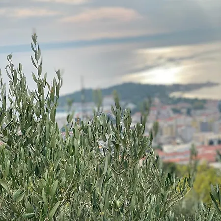 Apartments Antonella Bes Apartamento Makarska